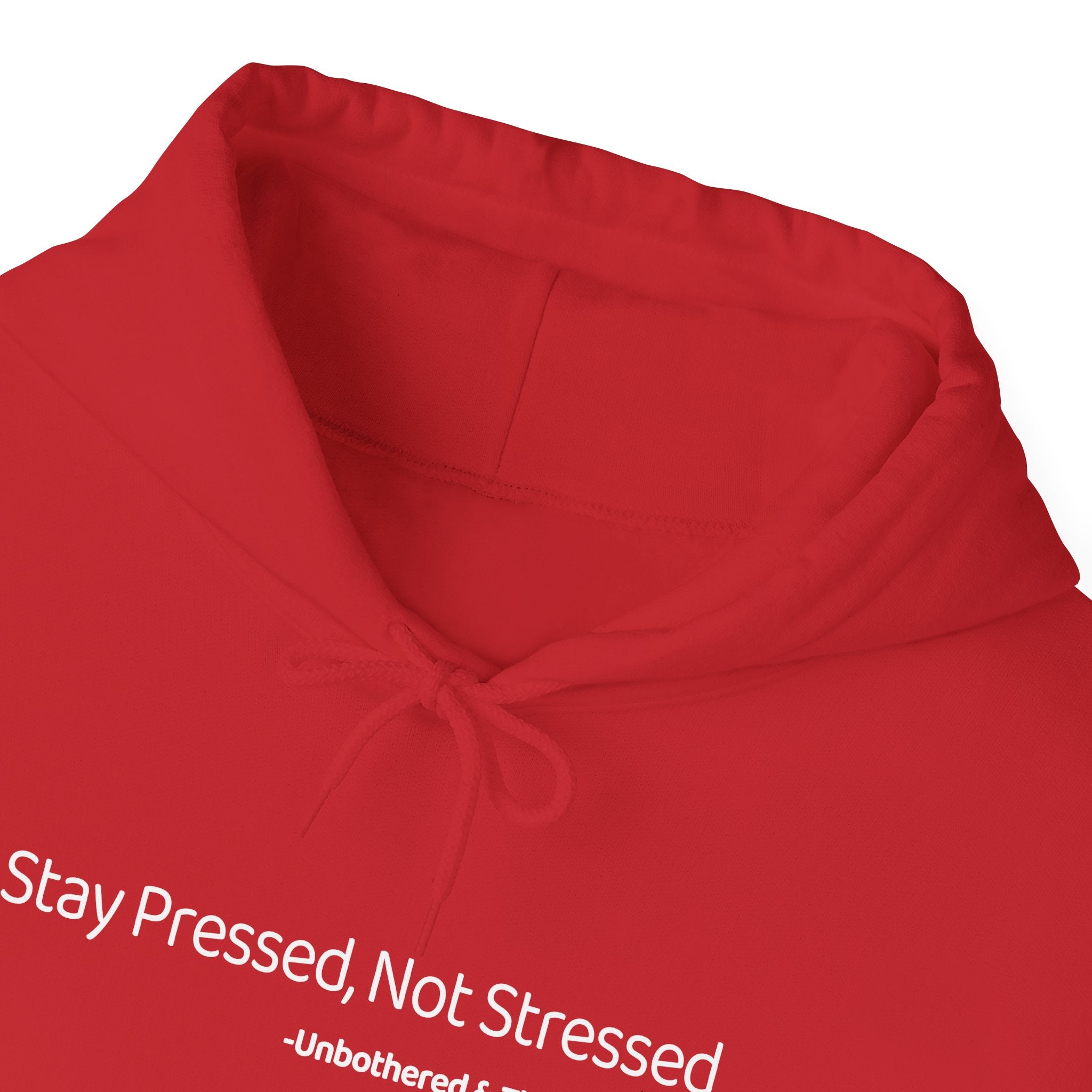Stay Pressed Not Stressed Hoodie – Aesthetic Gen-Z Hoodie | Unbothered & Thriving