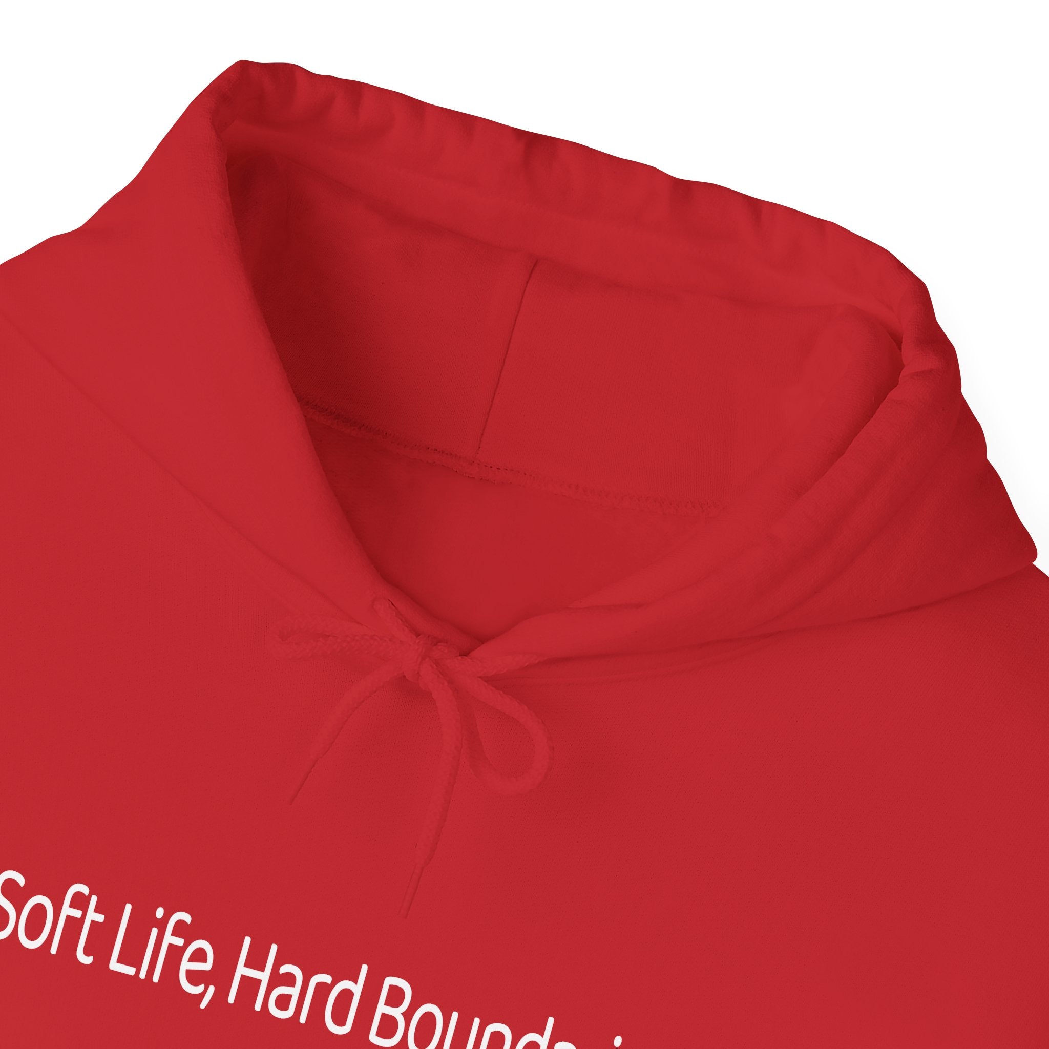 Soft Life, Hard Boundaries Hoodie – Aesthetic Gen-Z Quote Hoodie | Unbothered & Thriving